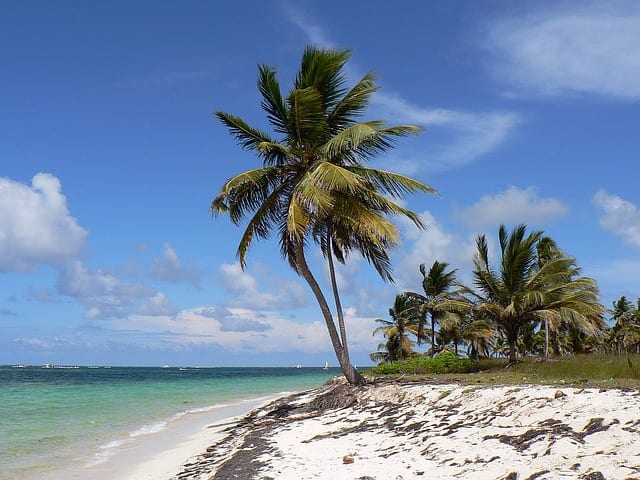 dominikanische republik punta cana strand